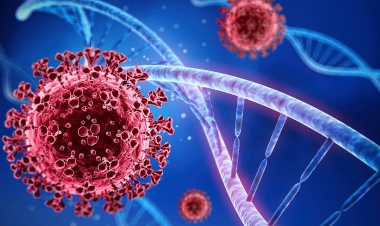 Azərbaycanda son sutkada 105 nəfər COVID-19-a yoluxub