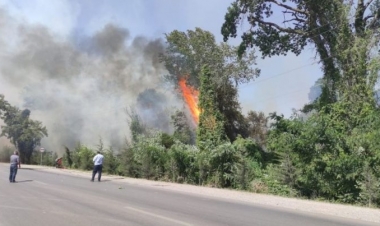 Şimal bölgəsindəki yanğınla bağlı rəsmi məlumat –
