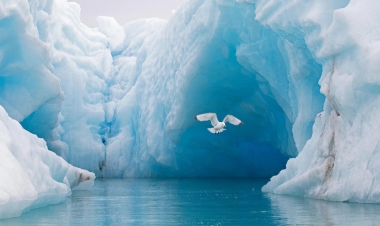 Xəbərdarlıq: o, hər kəsin evinin içinə girəcək -