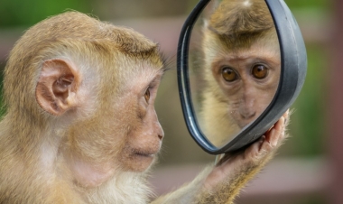 Nyu-Yorkda fövqəladə vəziyyət elan edildi