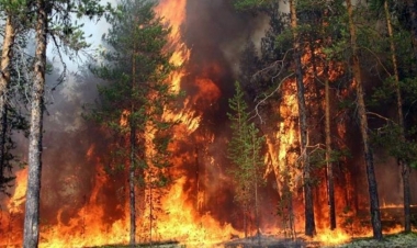 Şimal bölgəsini bürüyən yanğınlar nəzarətə götürülüb