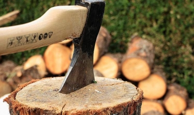 Avropa odun sobasına qayıdır: “İnsanlar odun almaq üçün yalvarırlar”