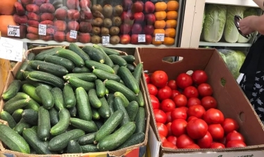 Rusiyalı sahibkar azərbaycanlılara görə cərimələndi