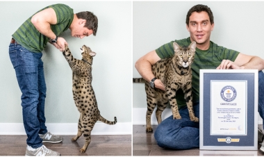 Ən hündürboylu pişik