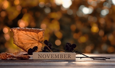 November, Kasım, Noyabr