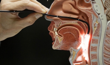 Britaniyalı karlaşdığını zənn edirdi, lakin... –