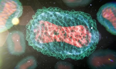 ÜST “meymunçiçəyi”ndən imtina etdi