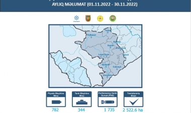 Daha 1126 ədəd mina aşkarlanıb
