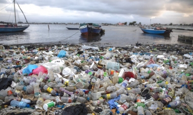 Həyəcan siqnalı: okeanda balıqdan çox plastik tullantı olacaq