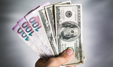 Manatın taleyi necə olacaq?