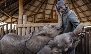 İlin ən yaddaqalan anları –