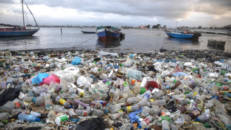 Həyəcan siqnalı: okeanda balıqdan çox plastik tullantı olacaq